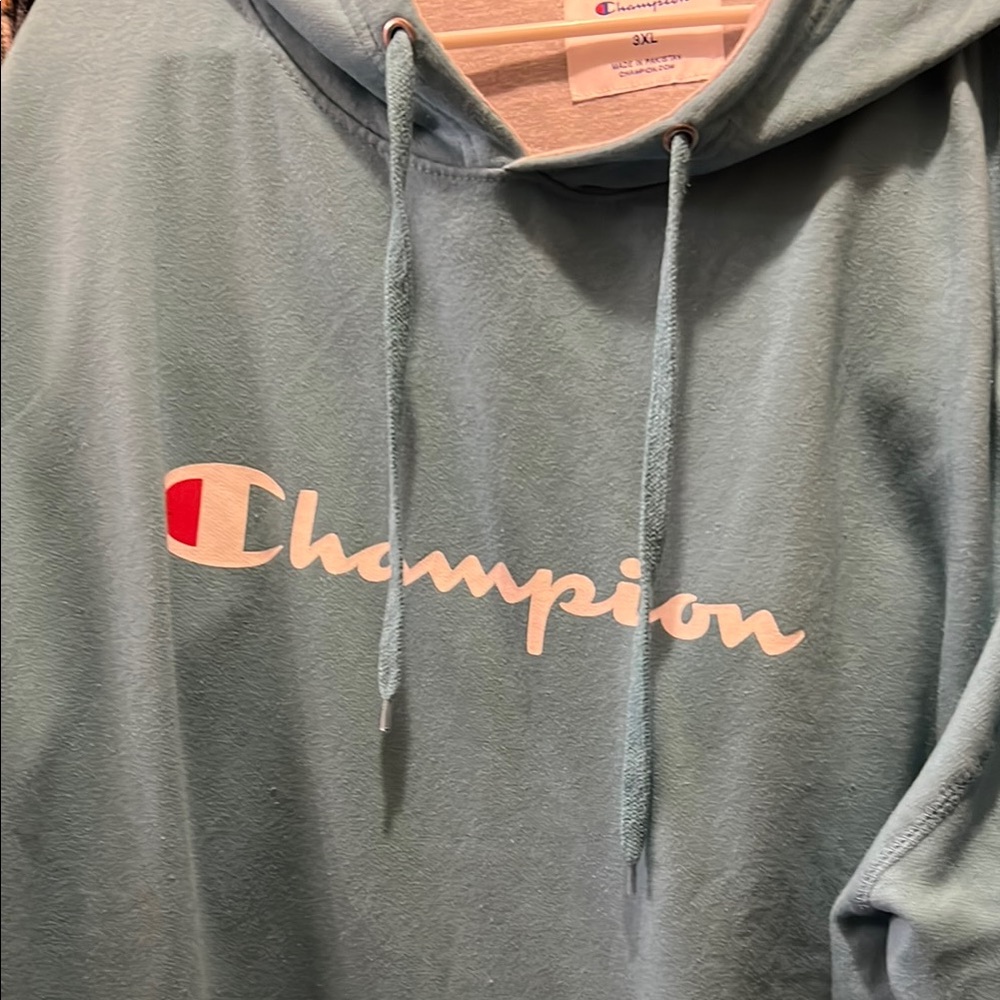 Champion Blue Hoodie
